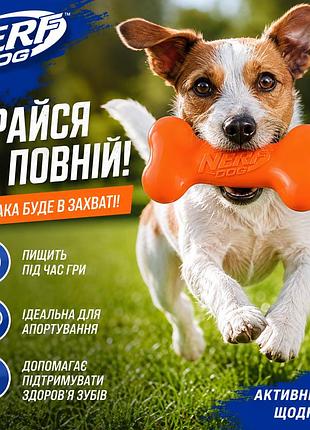Прочная игрушка-кость для собак nerf dog squeak bone с пищалкой для средних и больших собак