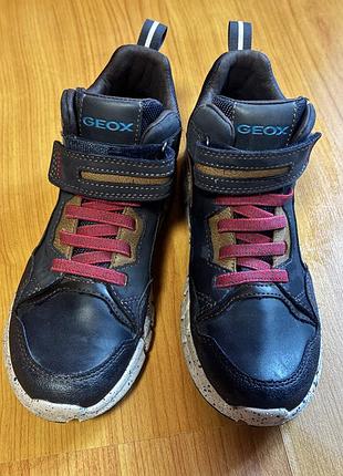 Черевики geox  оригінал 3