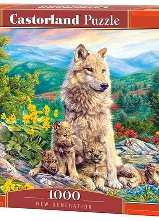 Пазл новое поколение 1000 деталей castorland