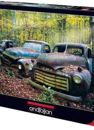 Пазл забуте минуле 1000 елементів anatolian