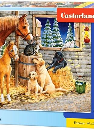 Пазл друзья 300 деталей castorland