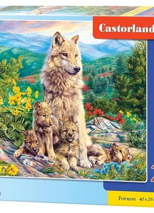 Пазл новое поколение 200 деталей castorland