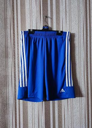 Спортивні шорти