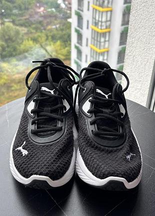 Женские кроссовки puma 2