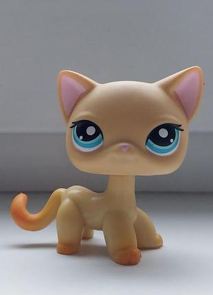 Littlest pet shop lps фигурка игрушка кошка стоячка кот пет шоп петшоп лпс шиншоп шоп бутшоп стоячки litlest pet shop фигурки игрушки пет шопы петшопы