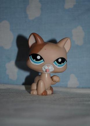 Пет шопы pet shop игрушки зоомагазин littlest pet shop lps кошка кошечка стоянка