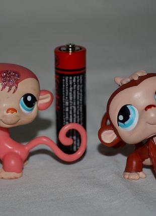 Обезьянка обезьянья пет шопы pet shop игрушки зоомагазин littlest pet shop lps различные фигурки