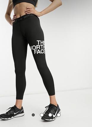 Спортивні лосінки the north face