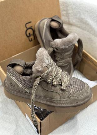 Уггі в наявності - кросівки ugg lowmel