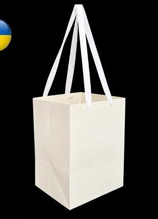 Пакет переноска 25*25*35 см 235 г/м2, набір 12 штук