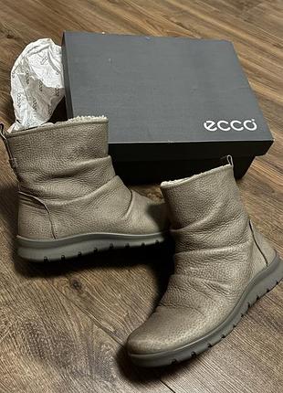 Сірі шкіряні черевики ecco, розмір 37 (24см), утеплена підкладка.