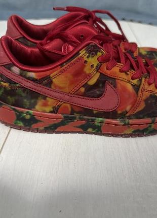 Кросівки sb dunk 2