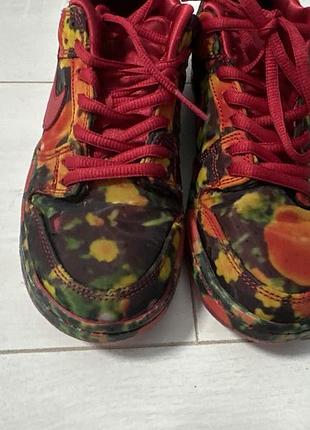 Кросівки sb dunk 5