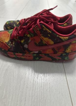 Кросівки sb dunk 6