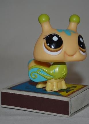 Редкая игрушка петс шопы pet shop игрушки зоомагазин littlest pet shop lps пчелка