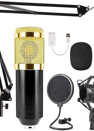 Кардиоидный конденсаторный микрофон professional condenser microphone профессиональный микрофонный комплект