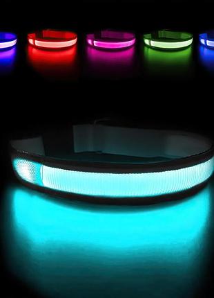 Світний нашийник для собак м masbrill led dog collar tc5200 регульований 38-50 см водонепроникний нашийник