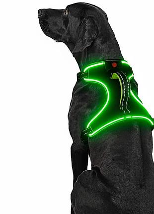 Шлейка для собак l kpuplol light up dog harness 21328 шлейка для собак із підсвіткою