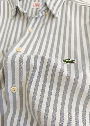 Рубашка lacoste 5