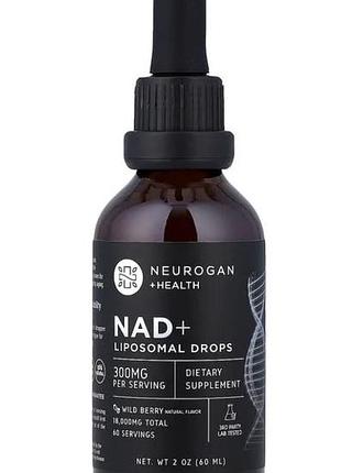 Над (нікотинамідаденіндінуклеотид), nad+, neurogan health, зі смаком лісових ягід, 300 мг, ліпосомальні краплі, 60 мл