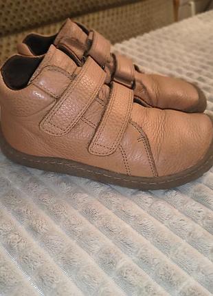 Barefoot 19см froddo 3