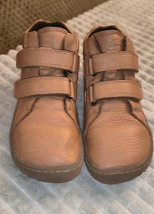 Barefoot 19см froddo 2
