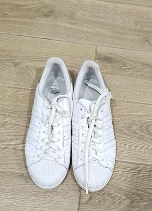 Кроссовки adidas superstar кожа