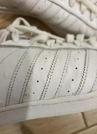 Кроссовки adidas superstar кожа 5