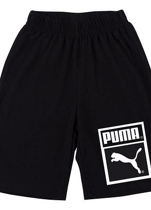 Чоловічі шорти puma