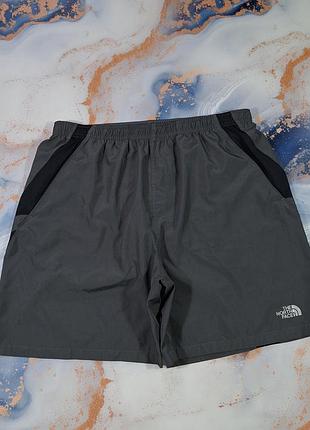 Шорти the north face спортивні tnf