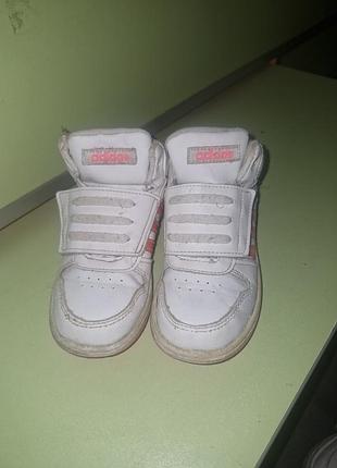 Кроссовки adidas унисекс