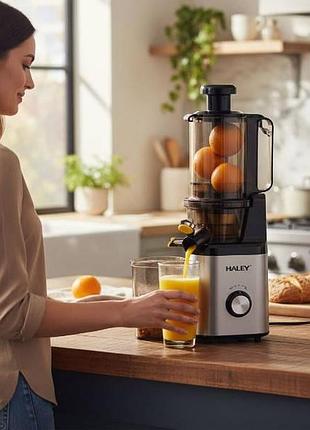 Соковыжималка шнековая haley hy-608 холодного отжима для фруктов, овощей и зелени 250 вт чёрная с серым