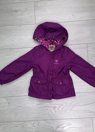 Фиолетовая куртка oshkosh на флисе р. 98-105