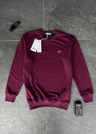 Свитшот lacoste бордовый