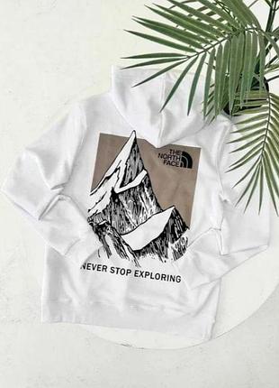 Мужское худи the north face 2