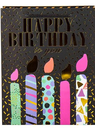 Подарочный пакет "день рождения", 32*26*12 см elisey