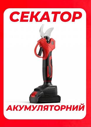 Rafail секатор садовий акумуляторний у кейсі для обрізання дерев і кущів, з двома акумуляторами 21 в, crafting tool