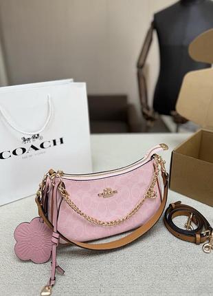 Coach signature canvas bag