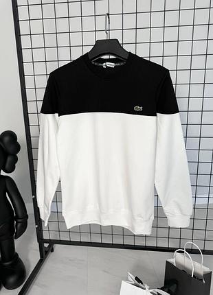 Світшот lacoste 2