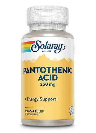 Пантотеновая кислота solaray pantothenic acid 250 mg, 100 капсул