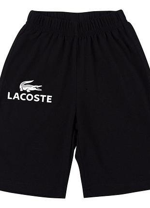 Чоловічі шорти lacoste