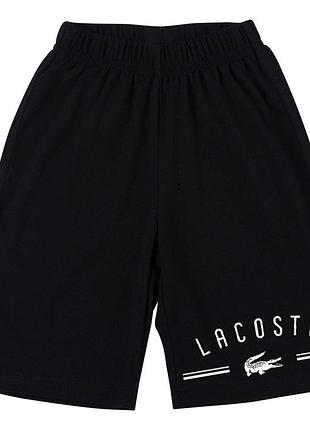 Мужские шорты lacoste