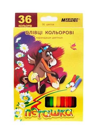Олівці пегашка 36 кольорів №1010-36cb тм marco