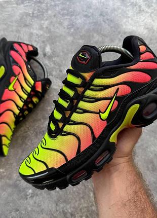 Кроссовки женские nike air max plus tn (38 (24 см))