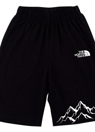 Мужские шорты the north face