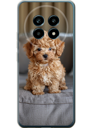 Чехол на realme 13 pro / 13 pro+ mini-maltipoo "6158u-3789-851"