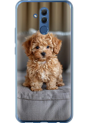 Чохол на huawei mate 20 lite mini-maltipoo "6158u-1575-851"