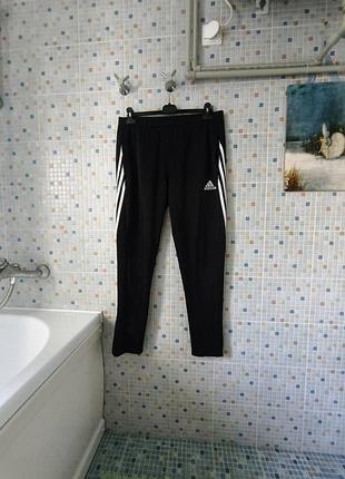 Спортивные штаны adidas.