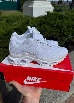 Кроссовки nike air max tn