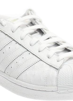 Кроссовки adidas superstar кожа